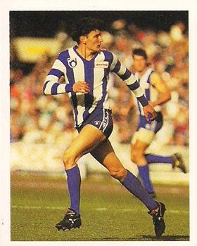 1993 Select AFL Stickers #175 Adam McCarthy Front
